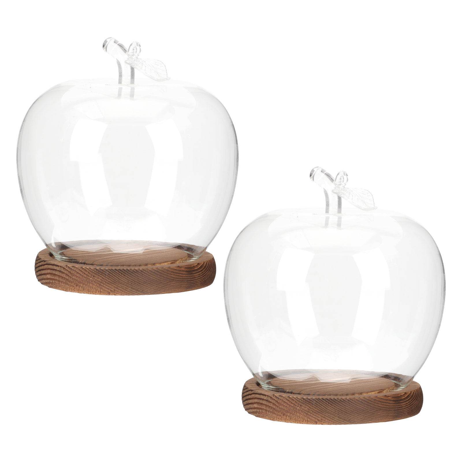 Plastic Dome Clear - 2 Stück Klare Glaskuppel mit Holzsockel,