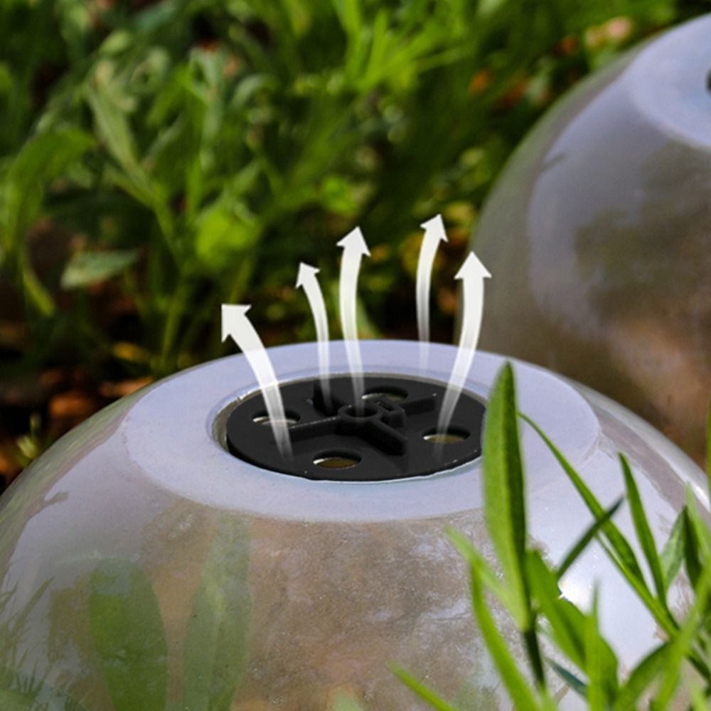 Wiederverwendbare Transparente – Plastic Dome Clear Bewertung und Preis