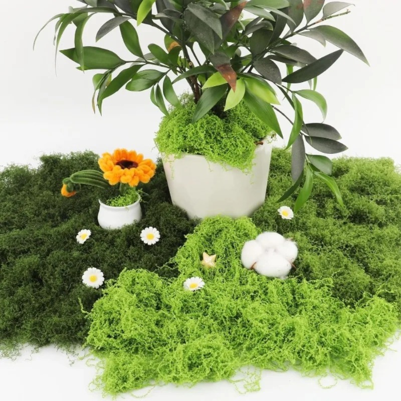 Künstliches grünes Moos, künst – Sphagnum Moss Dry Bewertung und Preis
