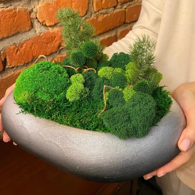 Künstliches grünes Moos, künst – Sphagnum Moss Dry Bewertung und Preis