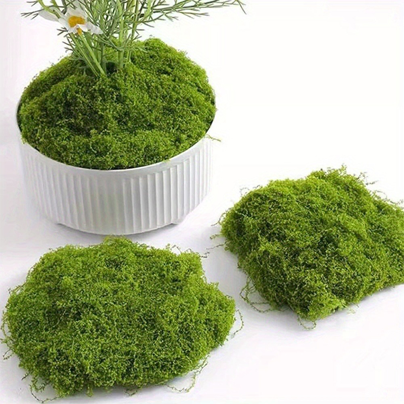 Grünes künstliches Moos, DIY-H – Sphagnum Moss Dry Bewertung und Preis