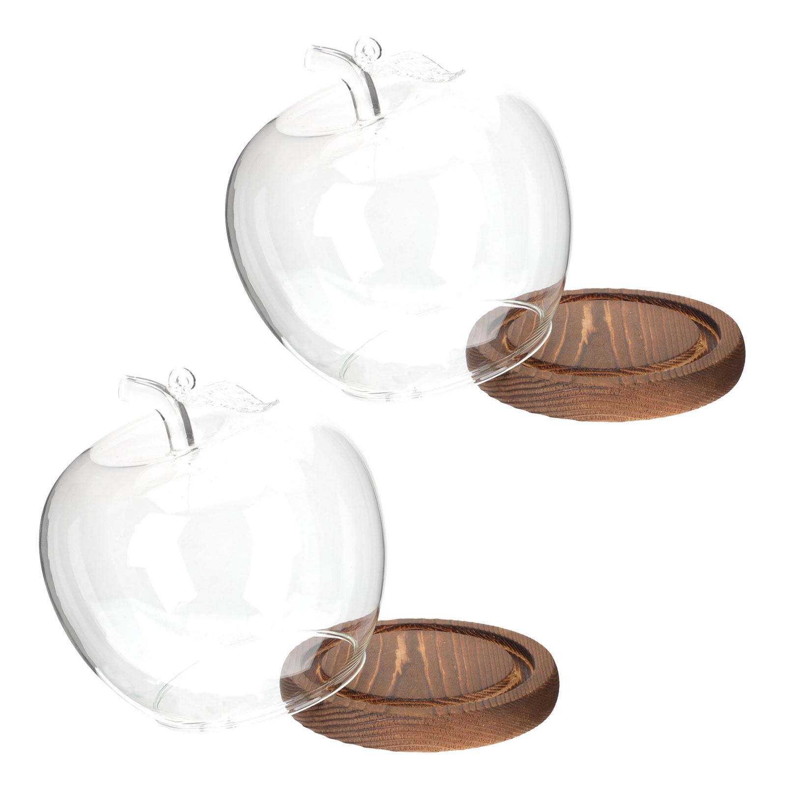 2 Stück Klare Glaskuppel mit H – Plastic Dome Clear Bewertung und Preis