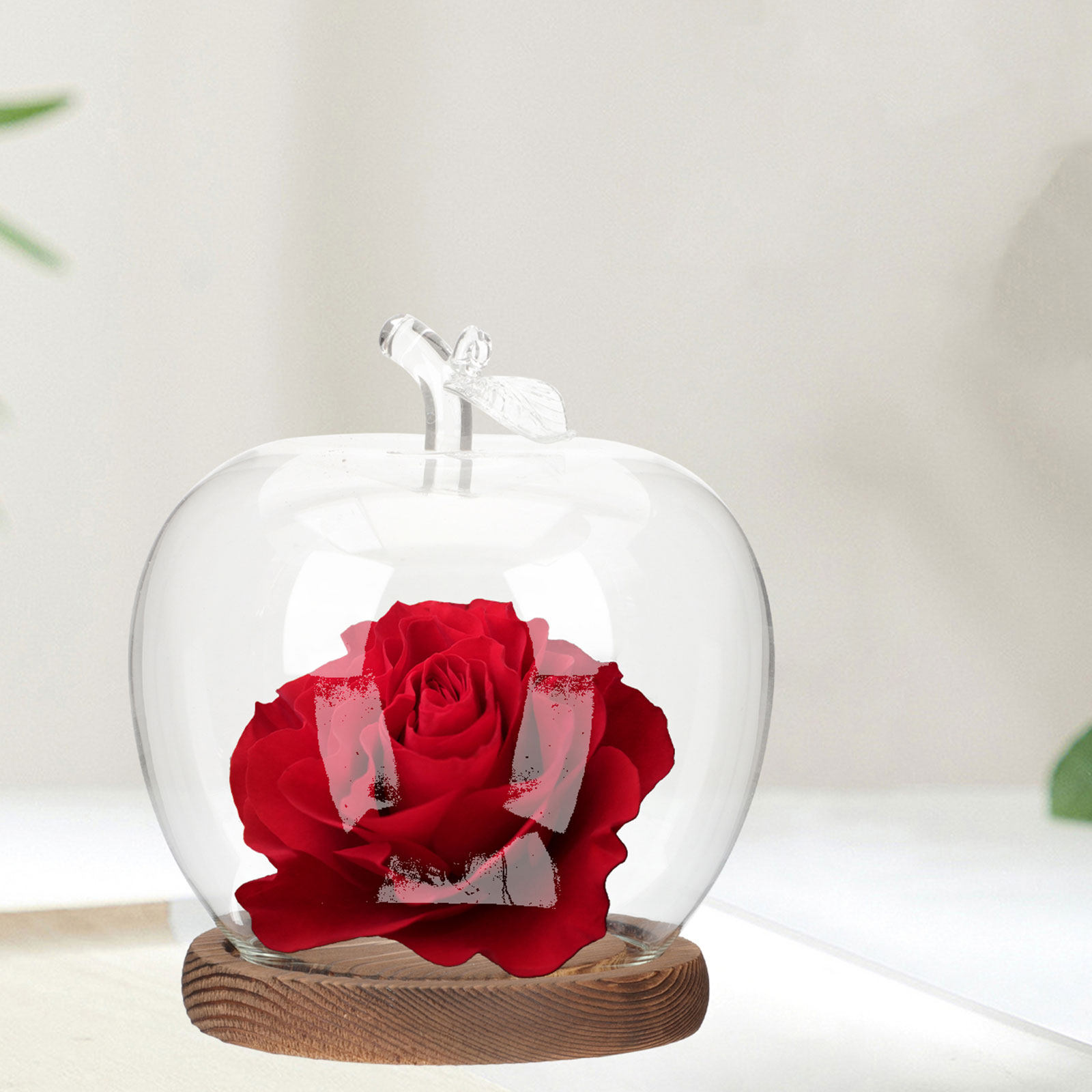 2 Stück Klare Glaskuppel mit H – Plastic Dome Clear Bewertung und Preis